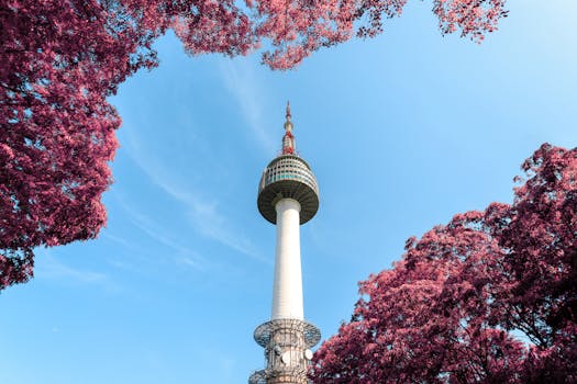 ByteDance Expands Altcoin Offerings as Crypto Adoption Surges in South Korea